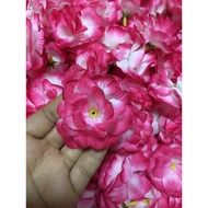 Blooming Roses Evening Color Hundred With Holes 50/49