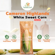 NF Cameron White Sweet Corn (Whole）