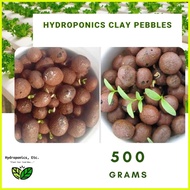 ♞Hydroton Clay Pebbles (500grams)