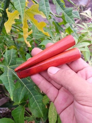 Pipa once cangklong kayu secang lurus 9cm