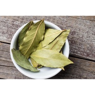 Bay Leaf (Daun Salam)