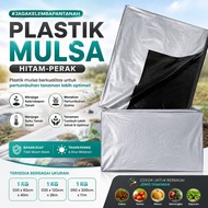 BLACK SILVER MULSA 1 KG PACKAGING