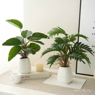 Fake Grass ins Style Nordic Simulation Bonsai Living Room Decorations Ornaments Green Plants Plants 