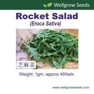 Rocket Salad / Arugula Seeds (1gm, approx 400 sds)芝麻菜 Gargil Herb Seeds Wellgrow Seeds