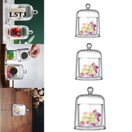 [Lstjj] Clear Cloche Tabletop Ornament Transparent Gifts Candle Holder Bell Jar Display Case for Keepsakes Jewelry Watch