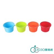 Keyway [JOJO] Union House Good Luck Flower 5L Bucket WF05 (Out Of Stock Random Shipment)