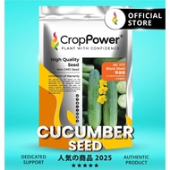 (100 GRAM) Biji Benih Timun Black Steel 铁金刚 DC777 CROP POWER F1 Hybrid Cucumber Seeds 黄瓜种子 DC 777 [1