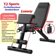 TJSports All in 1 Adjustable Gym Weight Bench Foldable Sit Up Dumbbell Exercise Fitness Bench Chair 