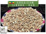 新季豆【一所咖啡】衣索匹亞 衣索匹亞 耶加雪菲/G1五日雙重厭氧處理 黃金果 單品咖啡生豆