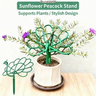 ALLINERROWC3 Peacock Shape Trellis, Outdoor Stick Frame Plant Support,  Pot Holder Plant Support Sta