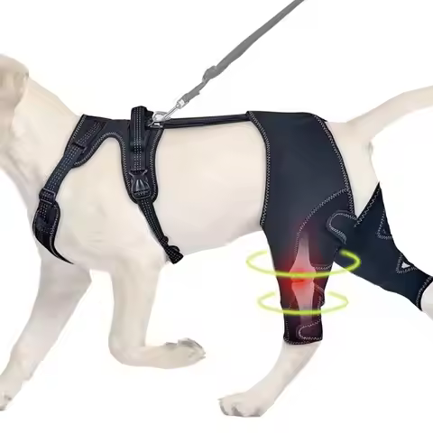 Orthopedic Brace For Dogs Pet Joint Hip Support Brace Adjustable Leg Support For Keeping Animal Join
