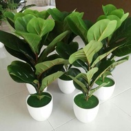 Artificial fiddle fig