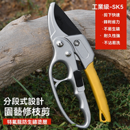 省力果樹修枝剪刀 分段式專業園藝剪 修枝剪 果樹剪 花枝剪刀 粗枝剪刀