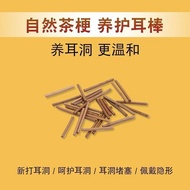 Temperament/Ear Stick Tea Stem Ear Stick Tea Rod Stem Ear Piercing Earrings Allergy Ear Stick Studen