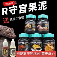 Eyelash Gecko Puree Food Powder Living Object Climbing Pet R Gecko Giant Monster Food Insect Fruit M