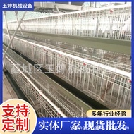 Wholesale Egg Chicken Cage, Chicken Cage, Stepped Chicken Cage, etc High-Quality Chicken Cage Ready 