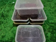 Ulen ketan hideung(ketan hitam)asli Bandung 500gram. home made