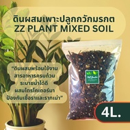 ZZ plant mixed soil ดินผสม ปรุงสำเร็จ ผสมสารป้องกันเชื้อราและรากเน่า เหมาะกับลิ้นมังกร Sansevieria ต้นกวักมรกต Zamioculcas Zamifolia