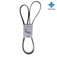 NISSAN TC Fan Belt 6PK2247 - Nissan X-Trail T30