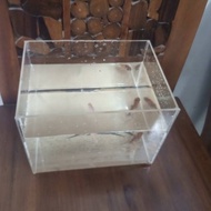 aquarium akrilik 20x20x15 ",