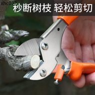 Pruning Shears Gardening Shears Pruning Shears Branch Shears Shears Gardening Pruning Gardening Tree