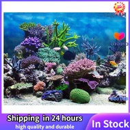 DeeTee PVC Adhesive Underwater Coral Aquarium Fish Tank Background Poster Backdrop Decoration Paper 61*30cm