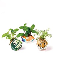 德國摺紙盆栽組合－孟加拉虎、樹懶、金色箭毒蛙
