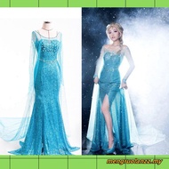 Hot Blue Bling Frozen Elsa Queen Adult Women Party Costume Elsa Dresses