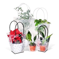 Wi Garden Transparent Ladder Flowerpot Shopping Bag Flower Artificial Flower Window Flower Shop Florist Gift Packaging