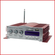 Kentiger HY - 3001 Power Failure Memory Function IR Control FM MP3 USB Power Amp
