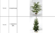 仿真聖誕樹盆景擺設