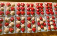【限量禮盒！日系無毒雙色草莓6~9入(特大果) x2入】紅顏x天使的日系草莓甜蜜與風華