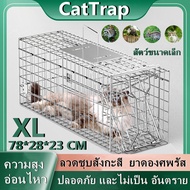 Caจัดส่งจากประเทศไทย79*28*33 ซม. กรงกู้ภัยสัตว์ กับดักแมว กรงล่าสัตว์พับได้ กรงโลหะชุบสังกะสี ขนาด XL จับแมวจรจัด จับแมวจรจัด จับแมว กับดักแมว เหยื่อล่อแมว กับดักแมว กับดักแมว