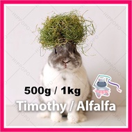 Timothy / Alfalfa Hay / Chaff (1kg) Arnab Rabbit Timothy Guinea Chinchilla Animals Makanan Alfafa Ru
