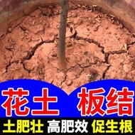 【有機肥】【花肥】養花土壤活化劑防板結調鹽堿土壤疏松改良劑免深耕松土精土壤花肥