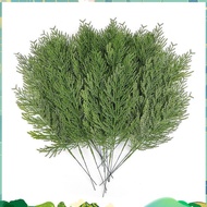 40 Pcs Artificial Cedar Sprigs Faux Cedar  Branches Cedar Cypress Stems Pine Picks Green