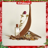 TiTi Decor Cocoa Leaves, Natural Cocoa Leaves, Dried Cocoa Leaves Decor for Product Photography, Pho