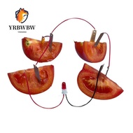 YRBWBW Fruit Battery Science Experiment Kit, STEM Experiment Kit Potato Powered Electricity Experime