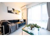 Erable Mt.Fuji "Kaze"