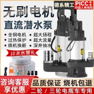 Water Pump High Head Battery Car 48V60V72 DC Pump Volt Universal Submersible Pump Brushless Electric