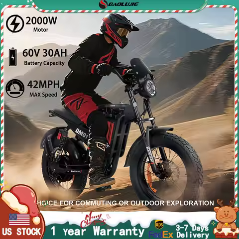 BAOLUJIE DM01 Moto Adults Electric Bicycle 2000W Motor 60V 30AH E bike Mountain Bike 42MPH Electric