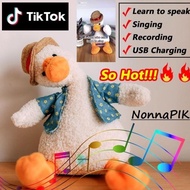 Duck Dancing Dolls - Duck With Voice Recorder