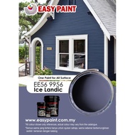 EASY PAINT (COLOUR: ICE LANDIC, CODE: EE56 9956) 1L & 5L