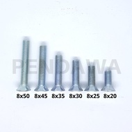 [10pcs] JF+ Bolts 8 x 20mm TMS Brand M8 x 20mm