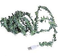 30 LED Fairy Lights, 9.8 Feet USB Powered, Green Ivy Leaves, Christmas Fairy Lights for Bedroom, Chr
