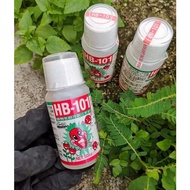 AH BENG GARDEN : HB101 - 50ml Concentrate Vitaliser 日本植物活力素营养液