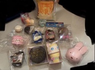 Picnic Ibloom Squishy 捏捏玩具