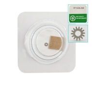 Bahagian Pergerakan Jam Tangan 3135 Bahagian Pergerakan FIT 3135-250 Roda Dail