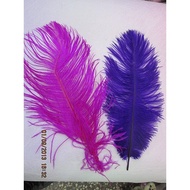 Ostrich Feather Fan Long Feather|40 Cm