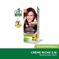 GARNIER HAIR COLOR Color Naturals 3.16 Red Burgundy 1s